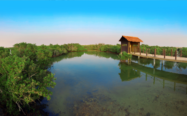 Al Thakira Mangroves