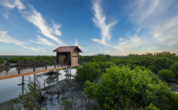 Al Thakira Mangroves 