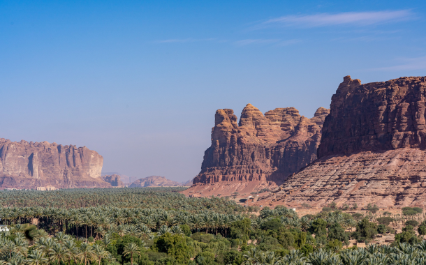 Alula 