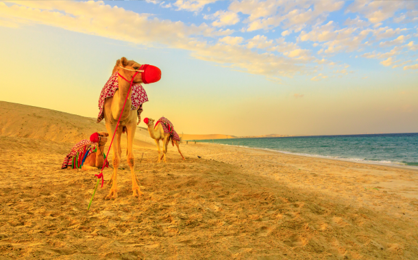 Desert Adventure  (1)