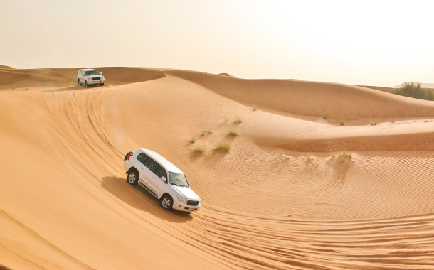 Desert Safari 