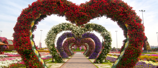 Dubai-Abu-Dhabi Package