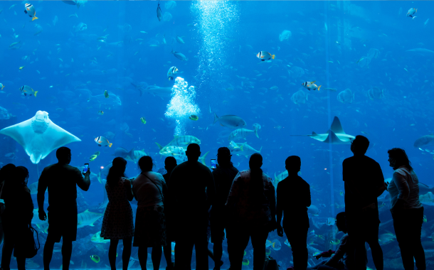 Dubai Aquarium Underwater zoo