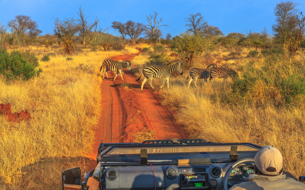 Game Drive 