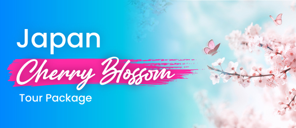 Japan Cherry Blossom Tour Pac...