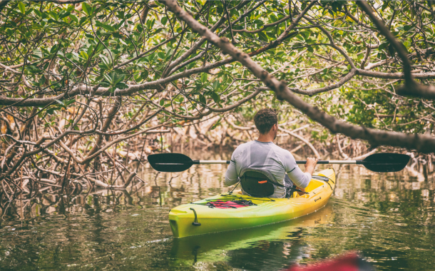Kayaking at Al Thakira Mangroves