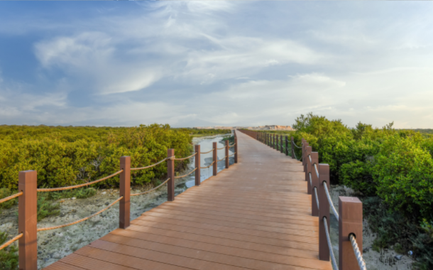 Kayaking at Al Thakira Mangroves 