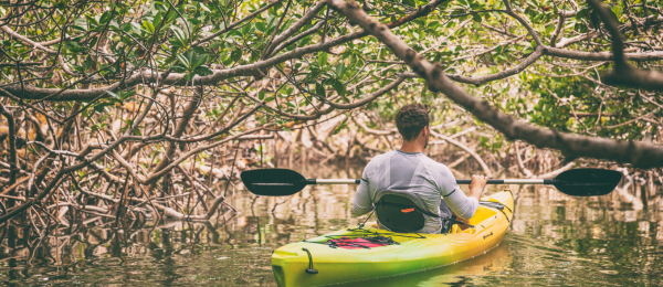 Kayaking at Al Thakira Mangroves