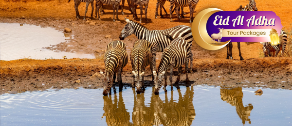 Kenya Tour Package