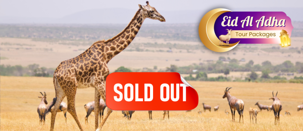 Kenya Tour Package