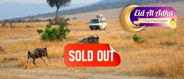 Kenya Tour Package