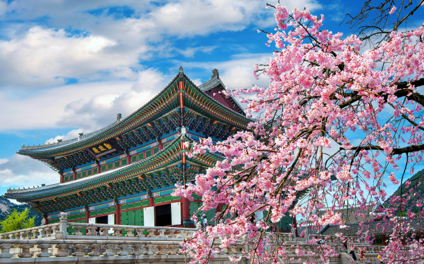 Korea Tour Package