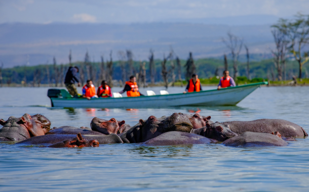 Masai Mara - Lake Naivasha