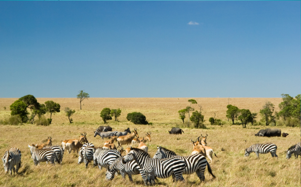 Masai Mara National Park