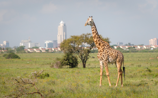 Nairobi kenya tour package