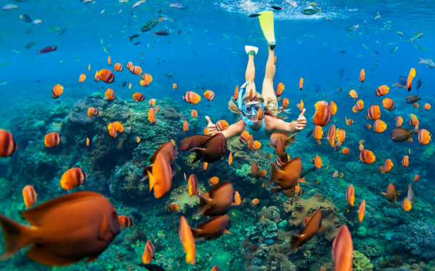 Snorkeling-red Sea