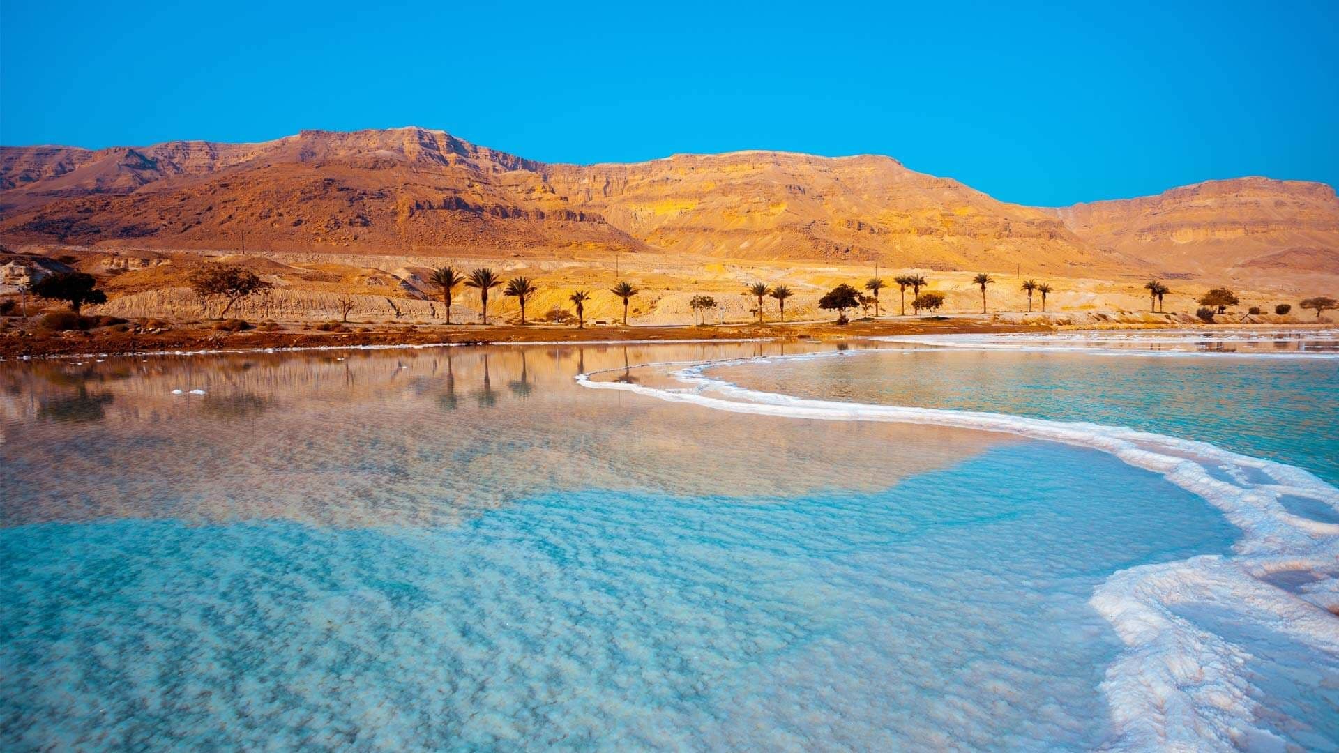 Mysteries of the Dead sea
