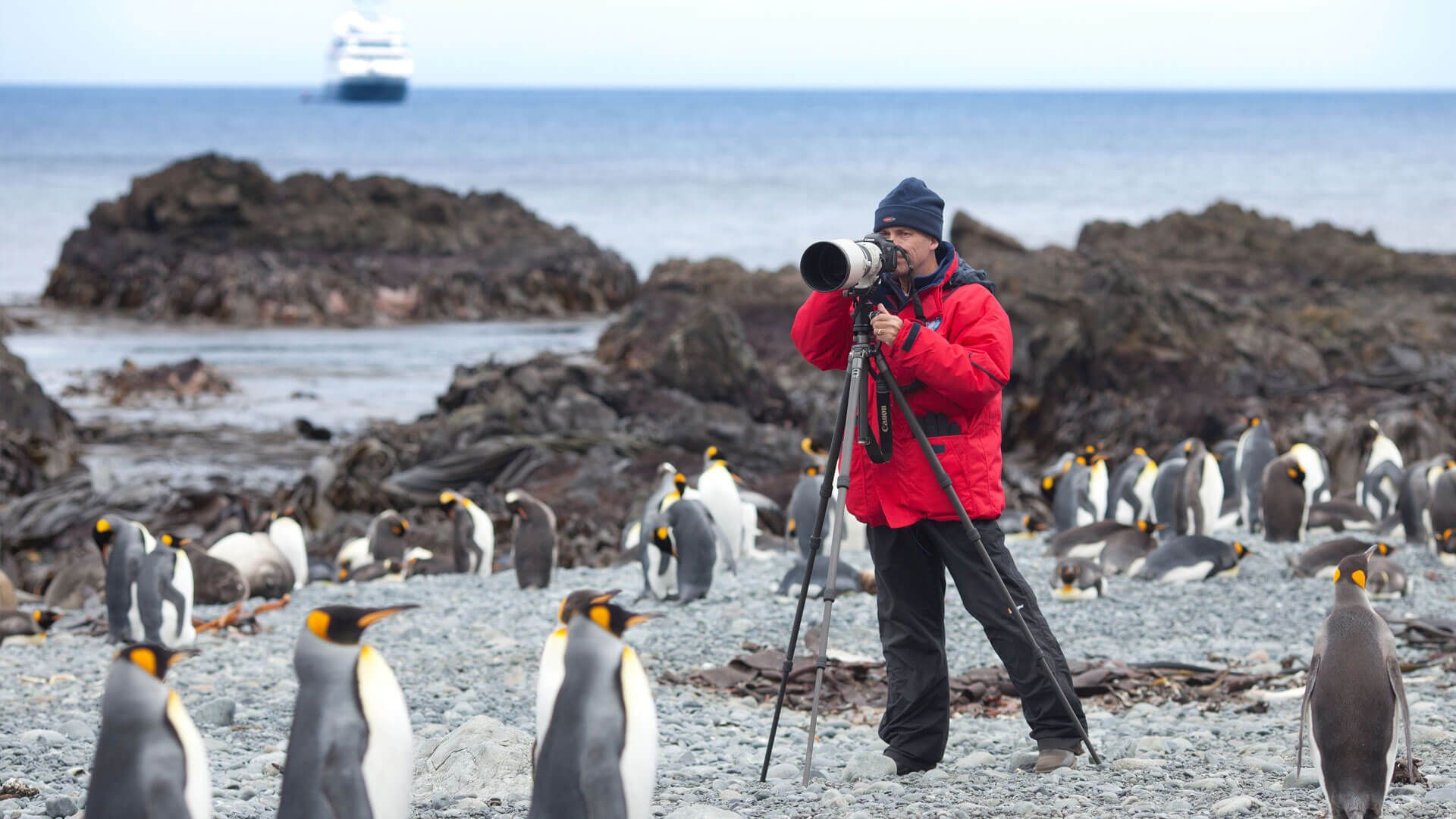 A glimpse of the Galapagos Islands, Southern Ocean