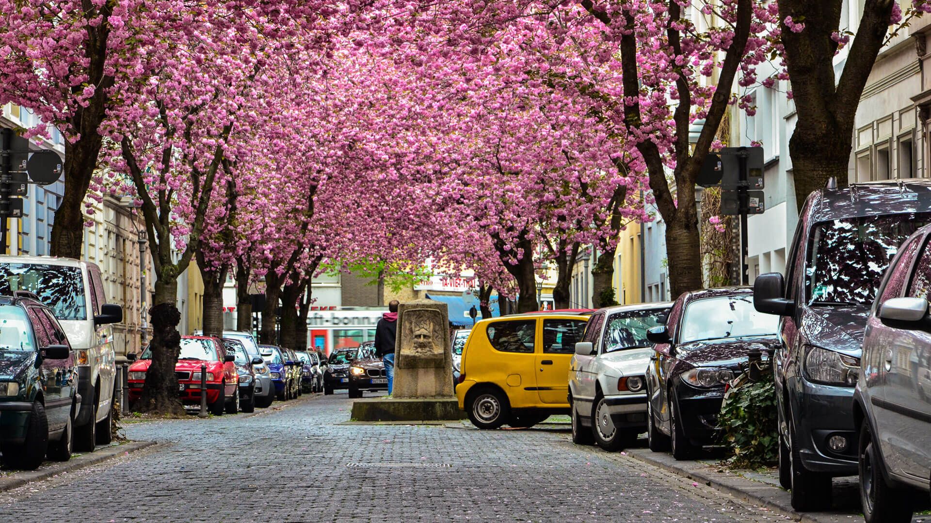 Bonn Street, Germany