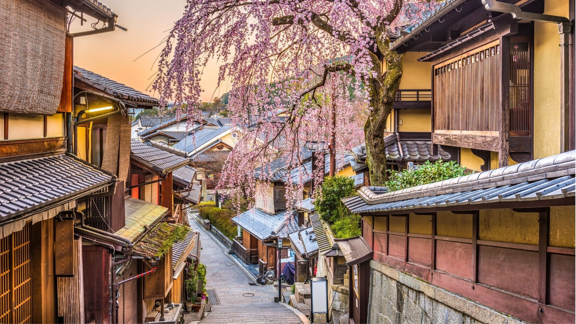 Kyoto